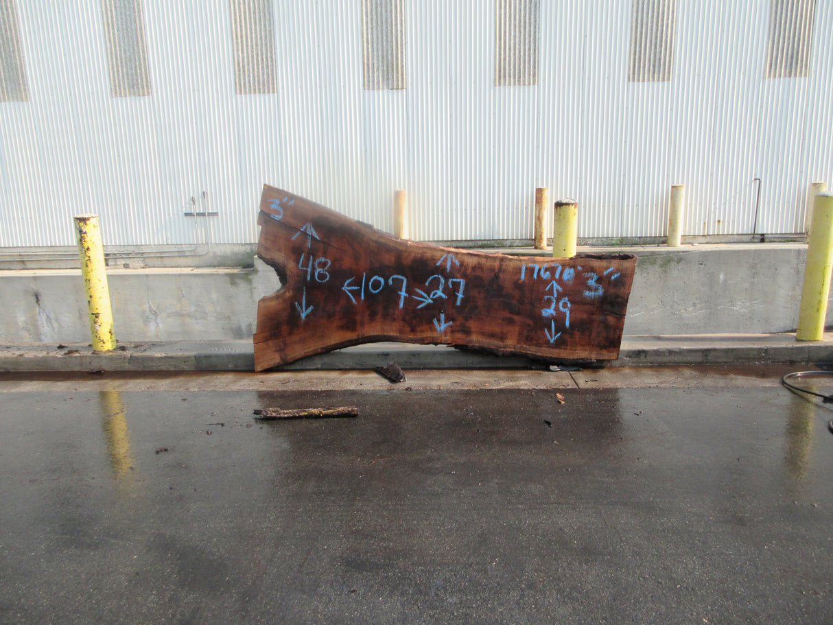 Claro Walnut Slab #17670