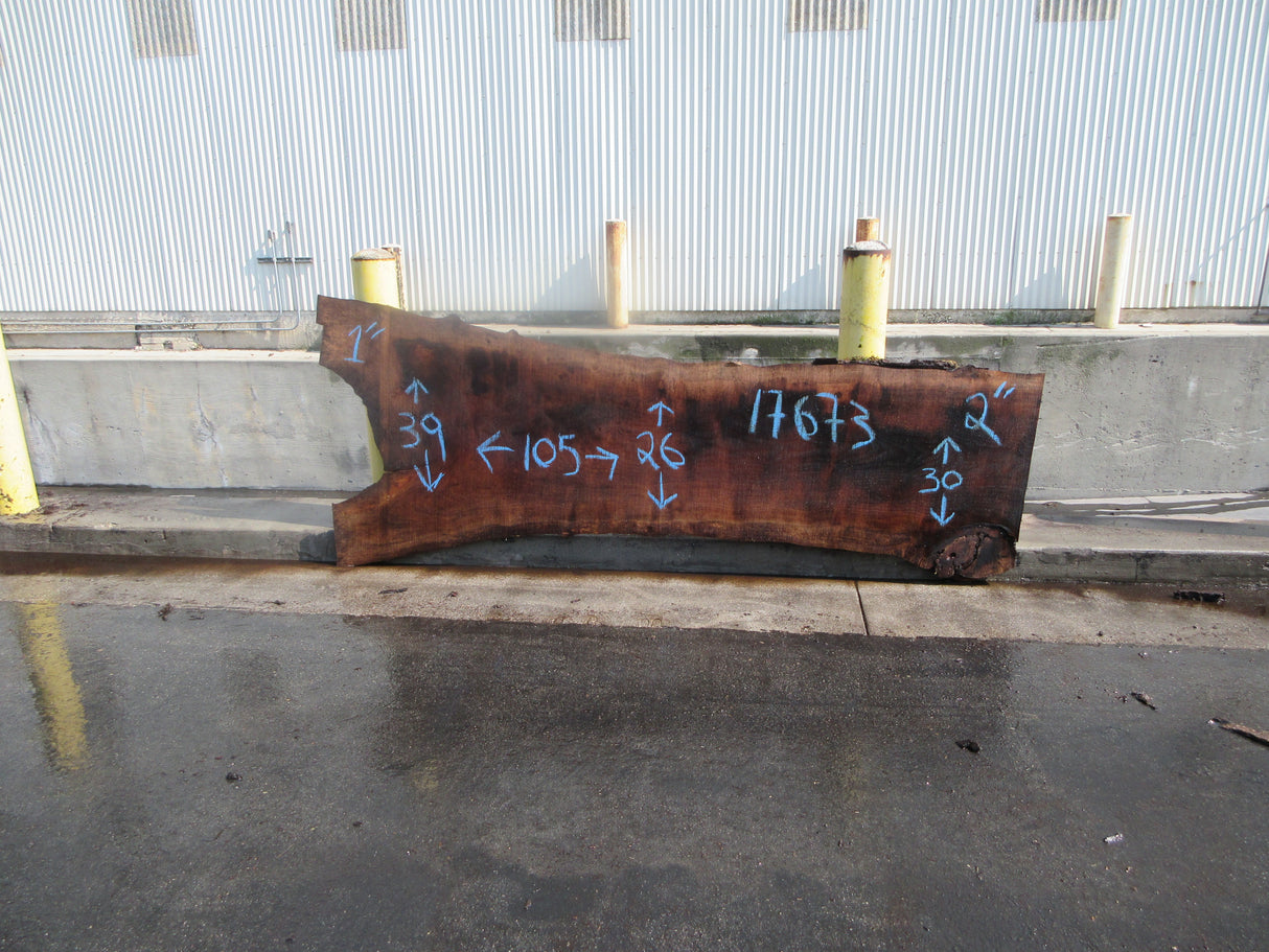 Claro Walnut Slab #17673
