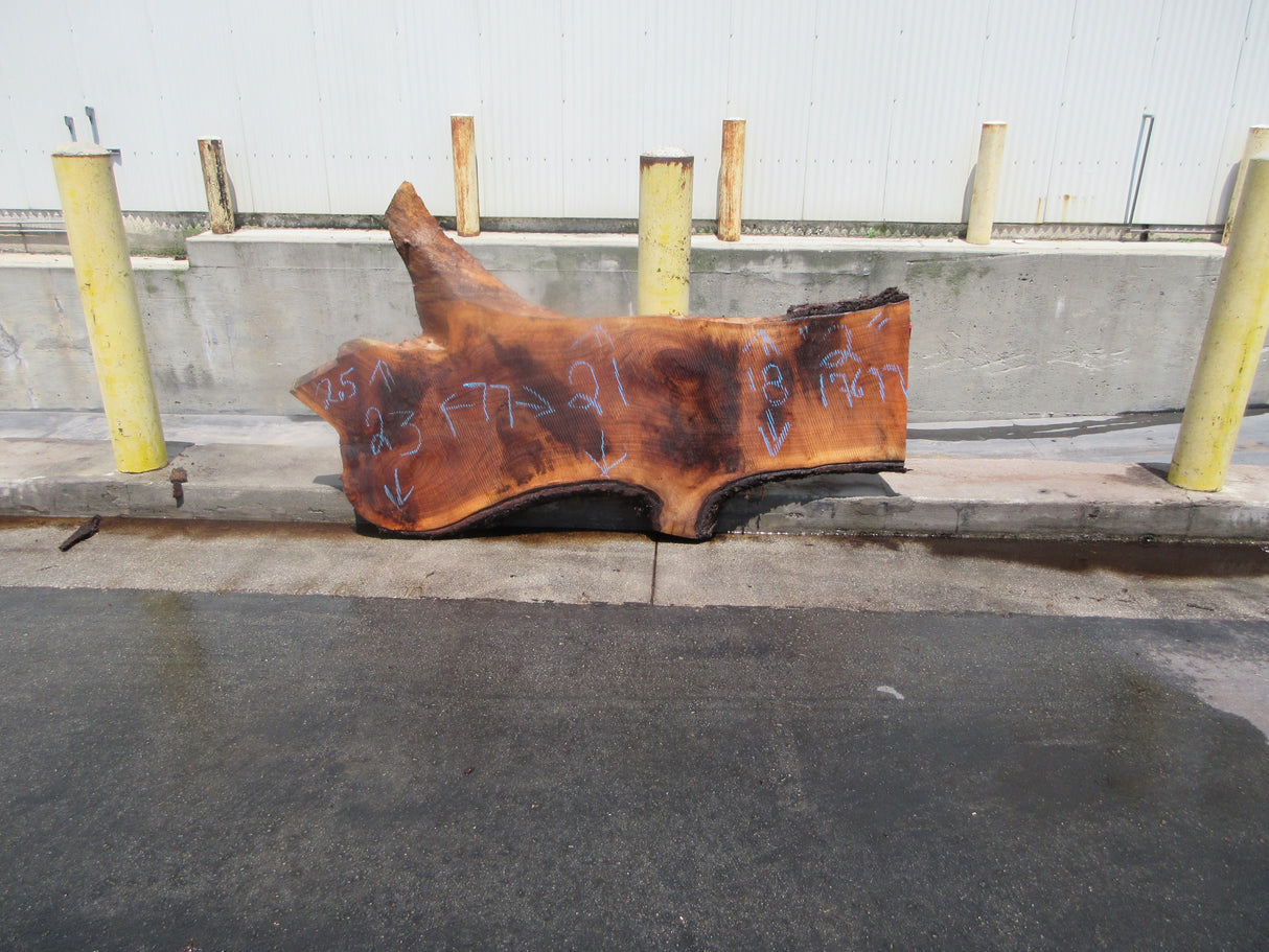 Claro Walnut Slab #17677