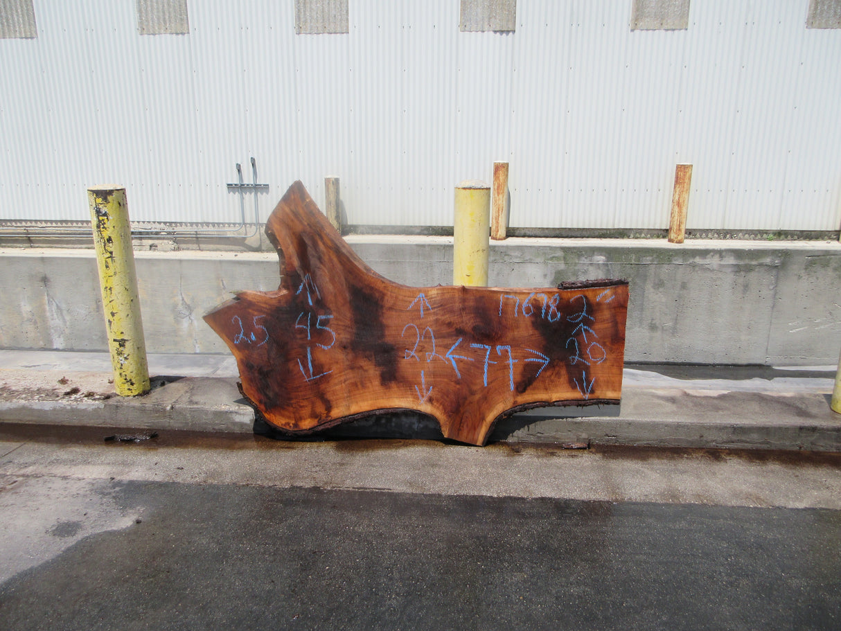 Claro Walnut Slab #17678