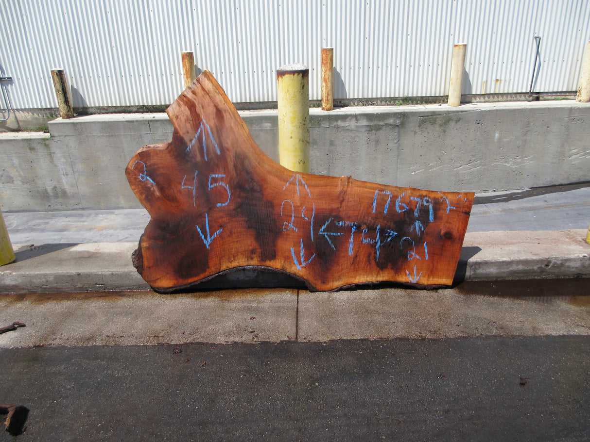 Claro Walnut Slab #17679