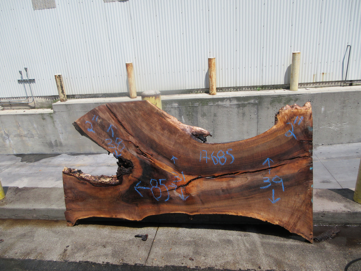 Claro Walnut Slab #17685