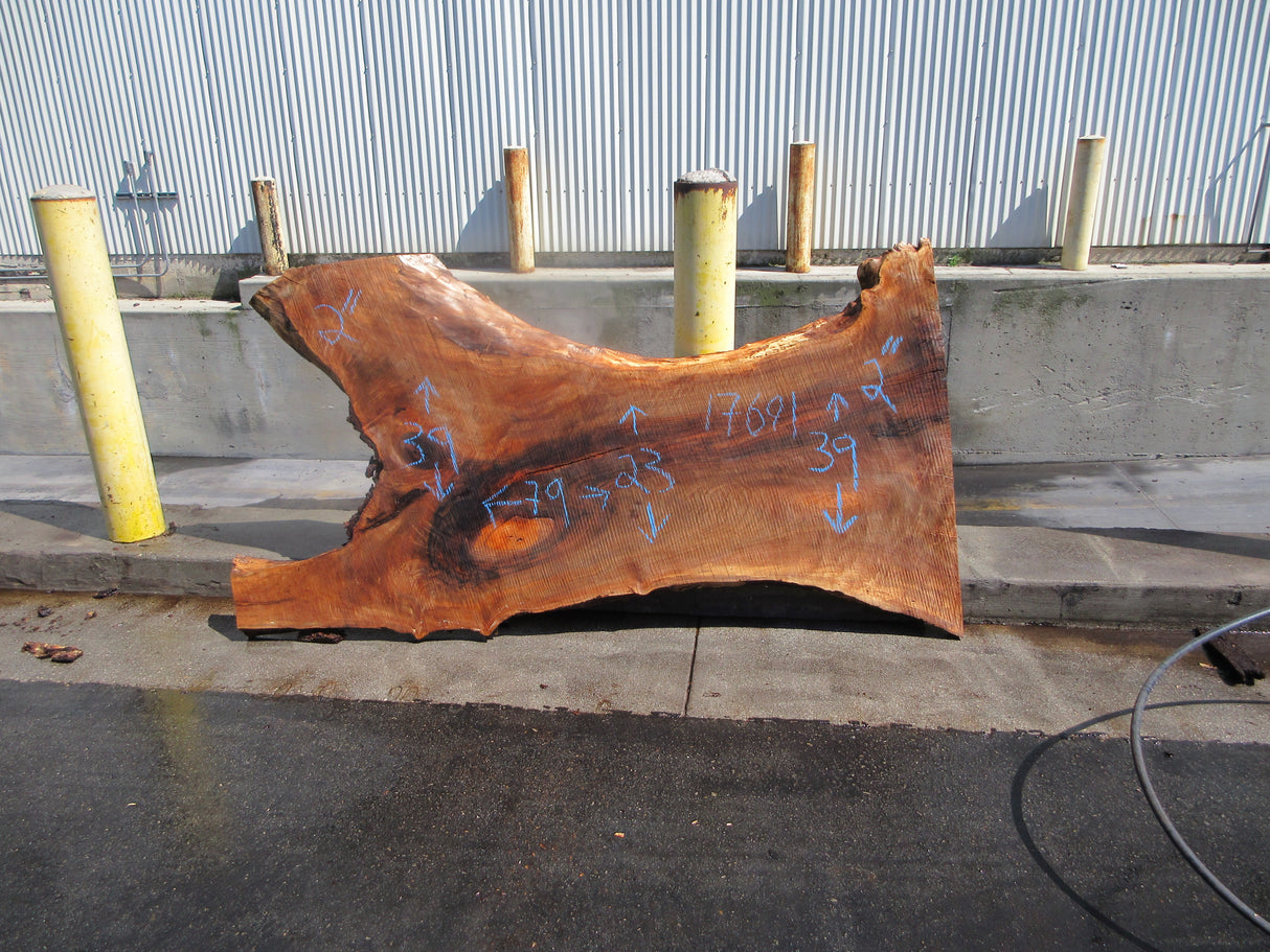 Claro Walnut Slab #17691