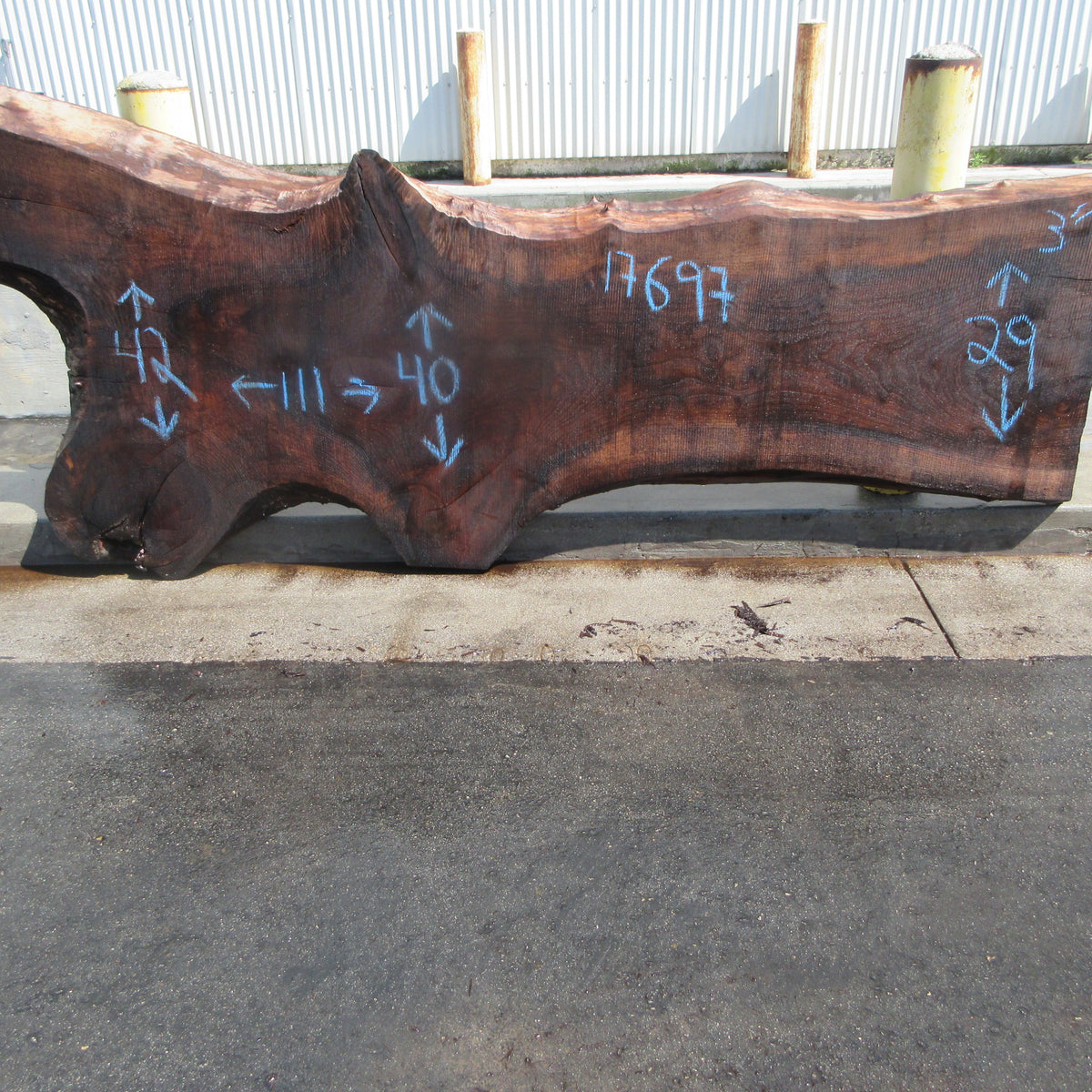 Claro Walnut Slab #17697 – Black Forest Wood Co.