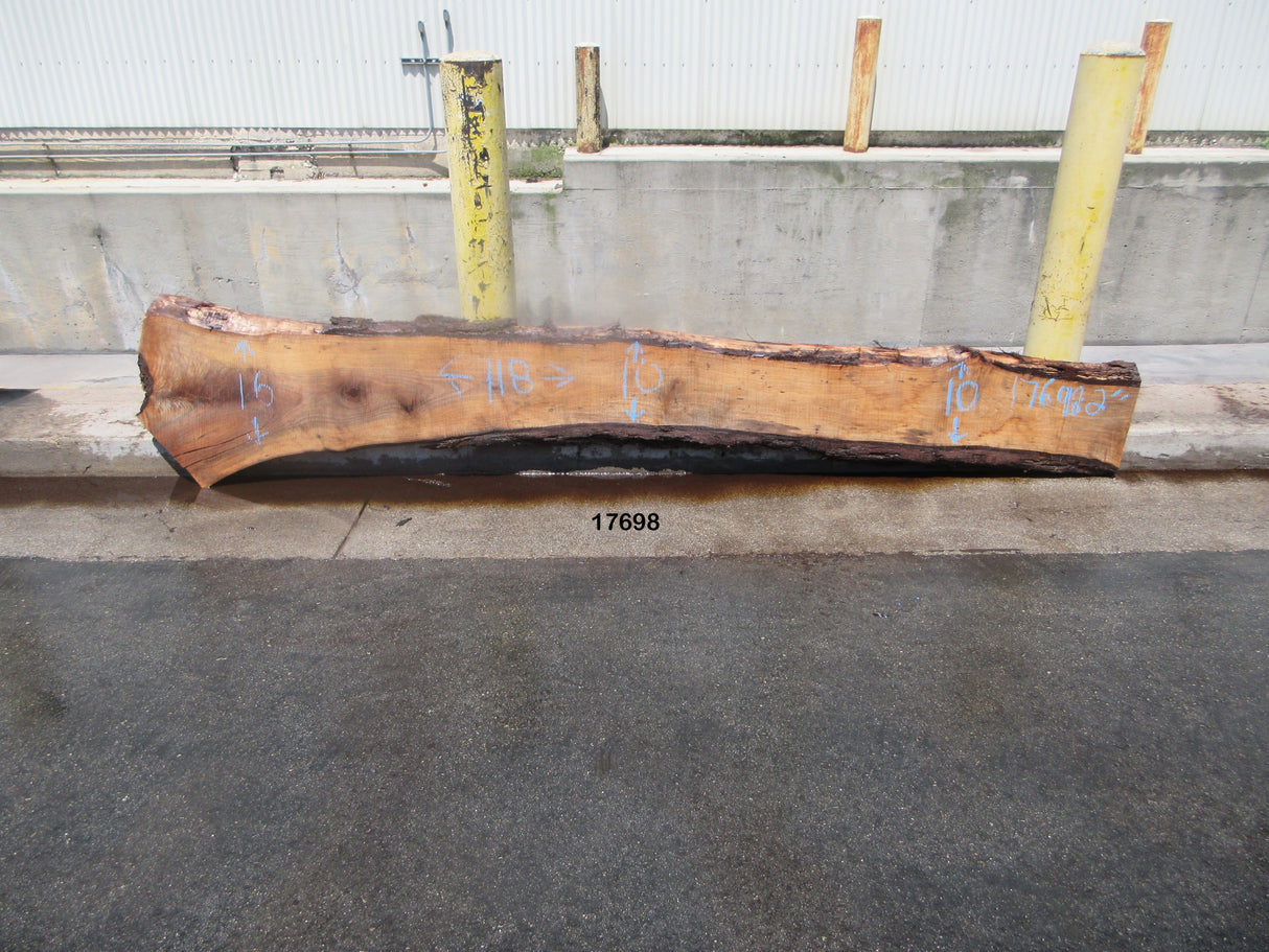 Claro Walnut Slab #17698