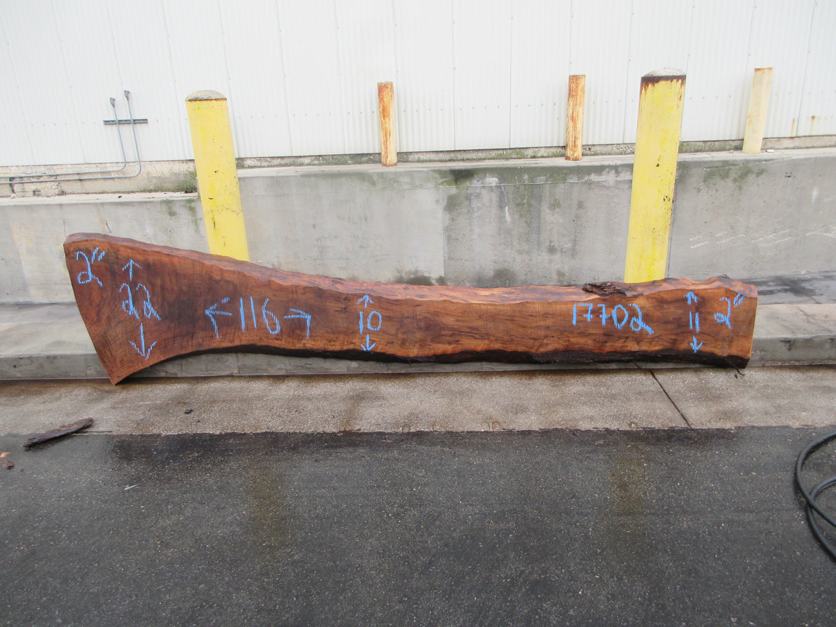 Claro Walnut Slab #17702