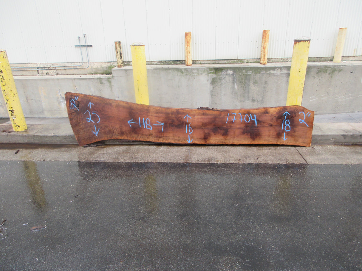 Claro Walnut Slab #17704