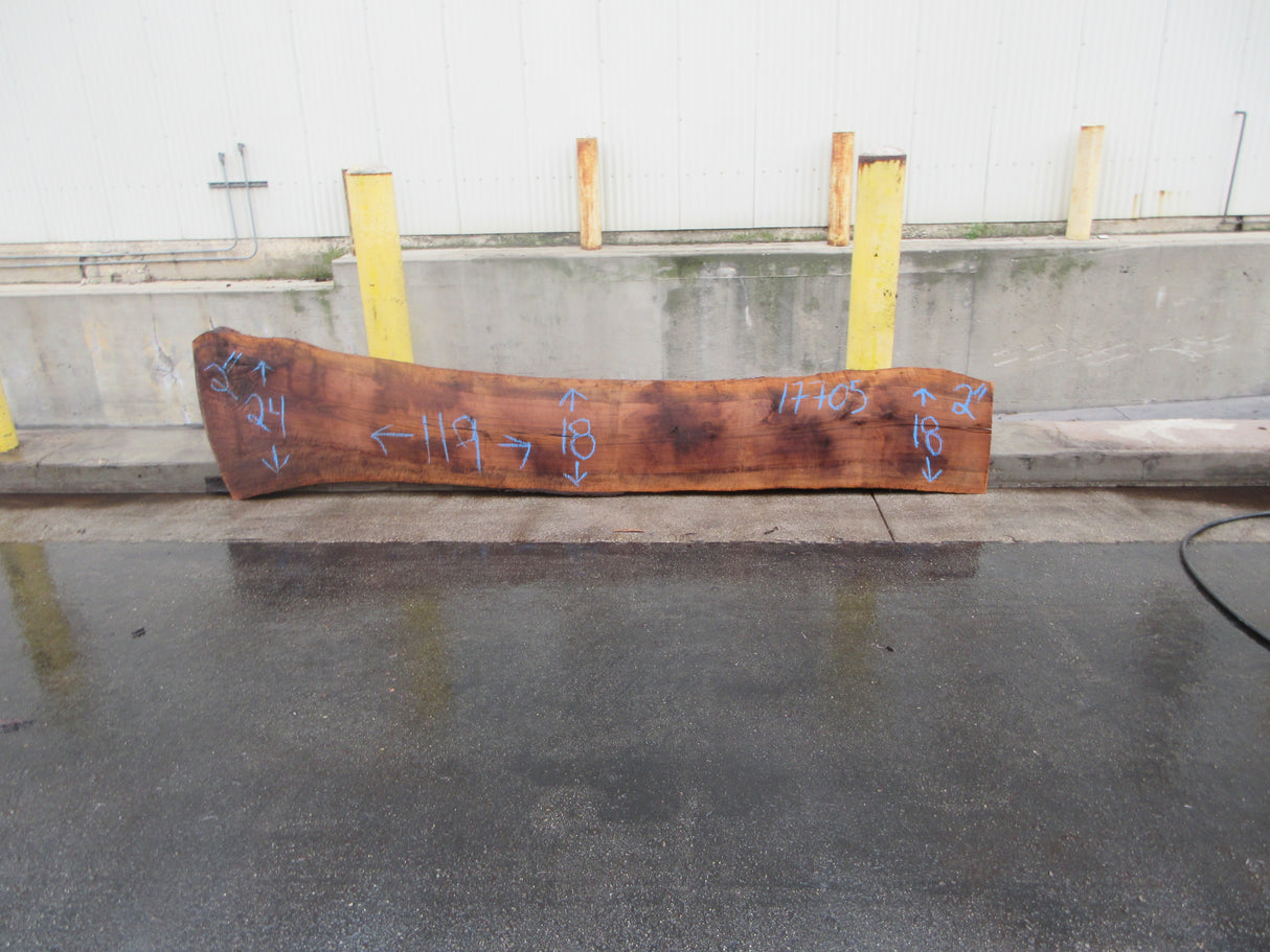 Claro Walnut Slab #17705