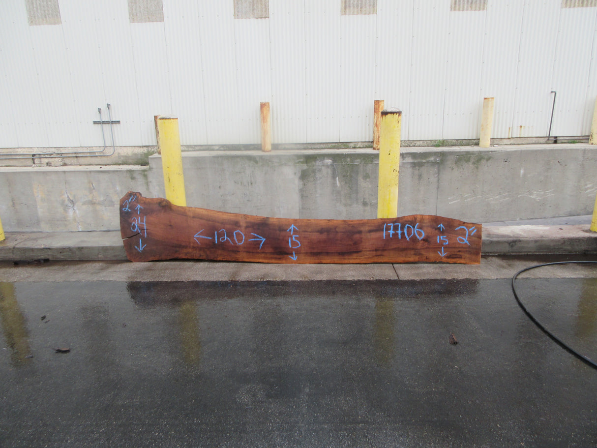 Claro Walnut Slab #17706
