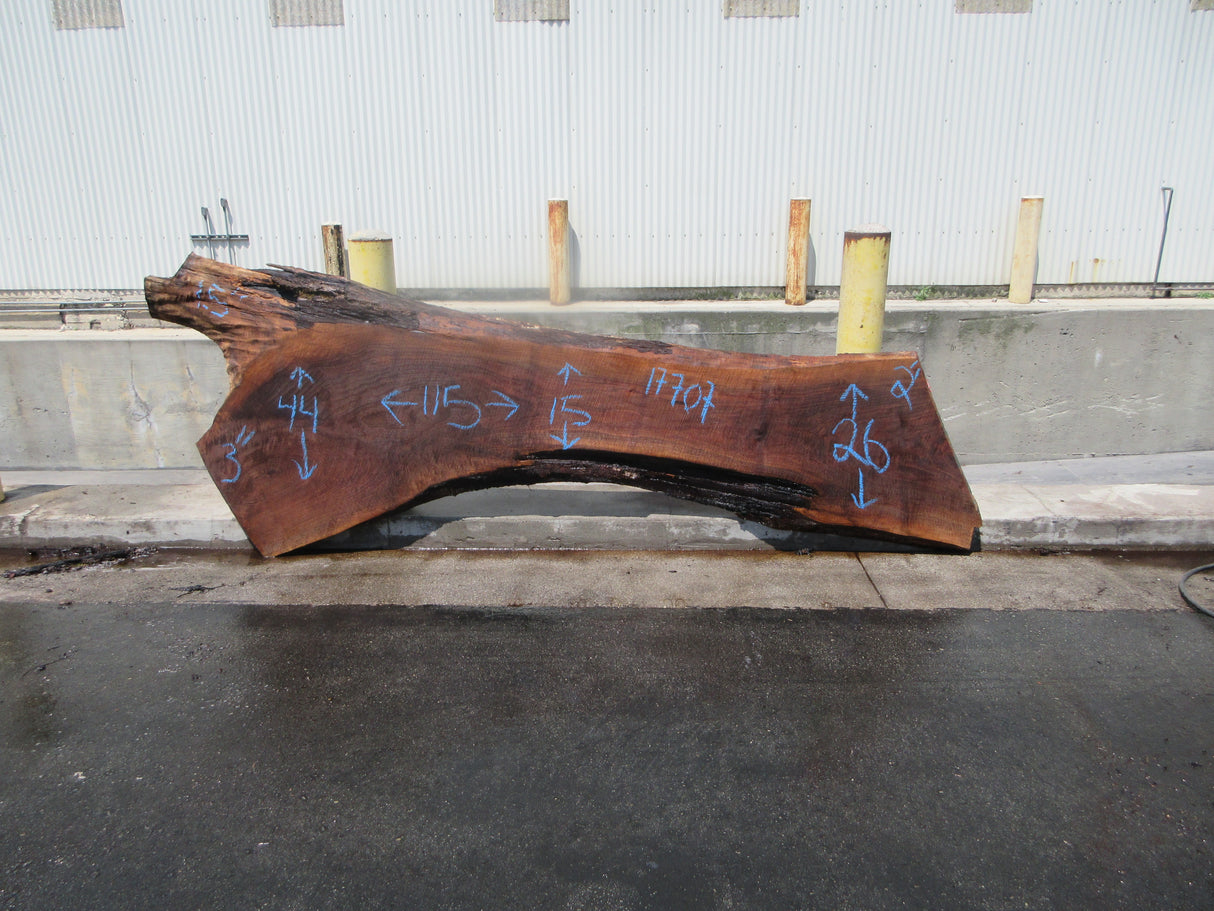 Claro Walnut Slab #17707