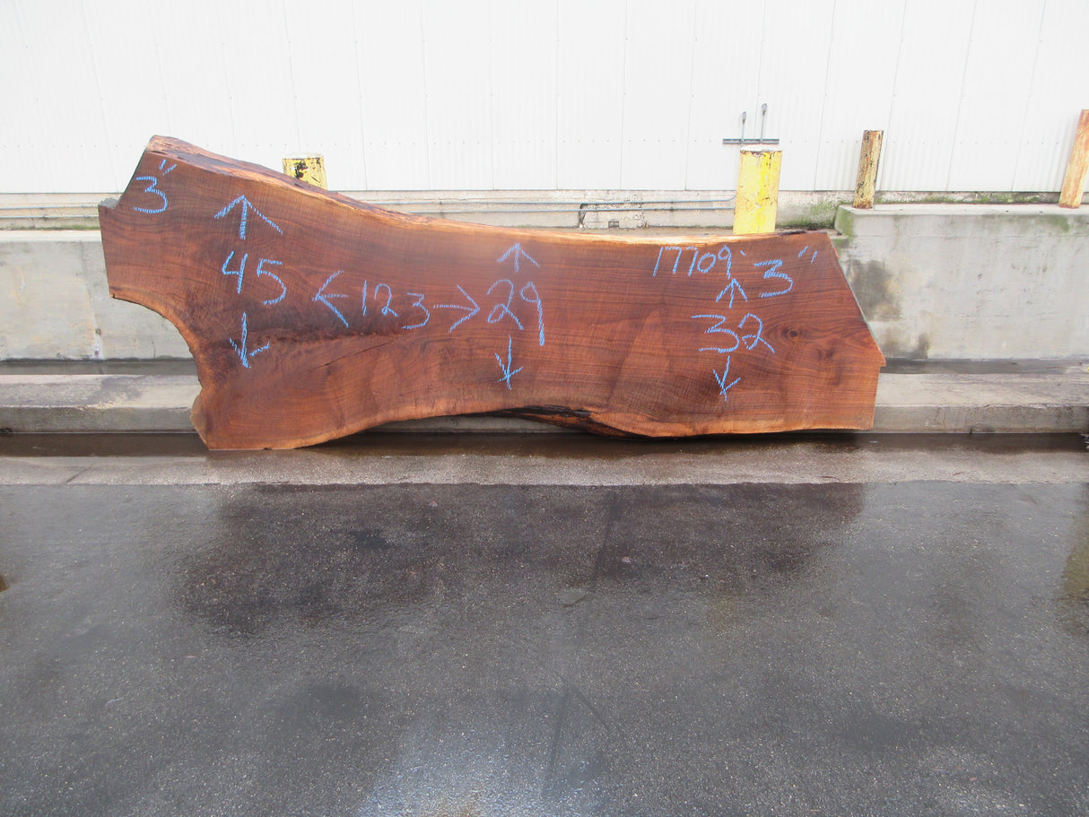 Claro Walnut Slab #17709