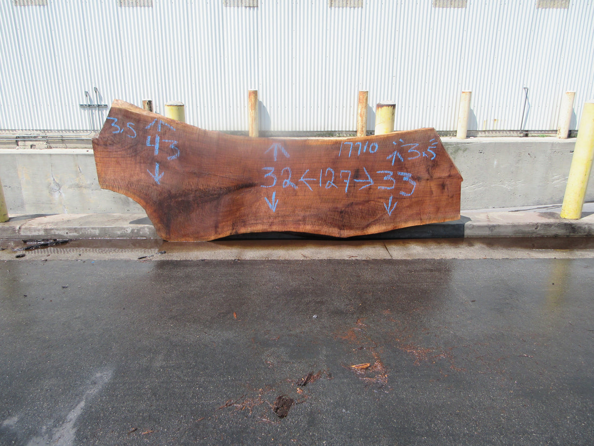 Claro Walnut Slab #17710