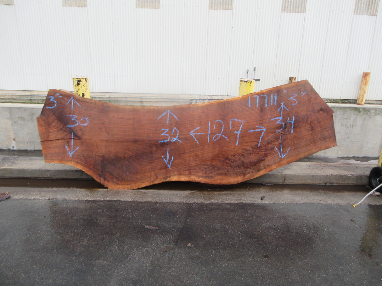 Claro Walnut Slab #17711