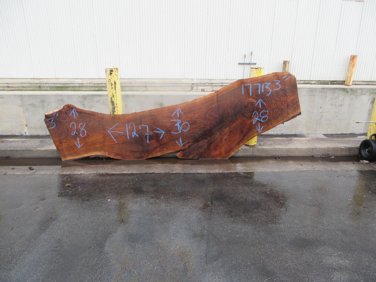 Claro Walnut Slab #17713