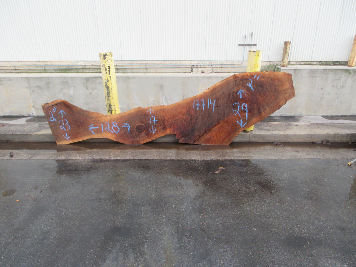 Claro Walnut Slab #17714