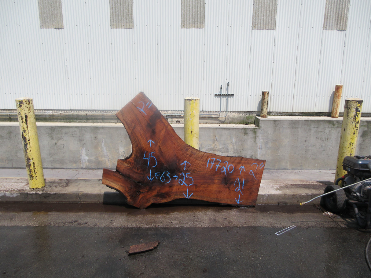 Claro Walnut Slab #17720