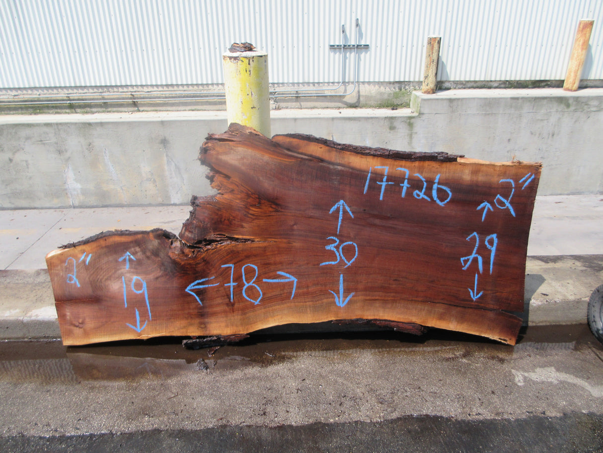 Claro Walnut Slab #17726
