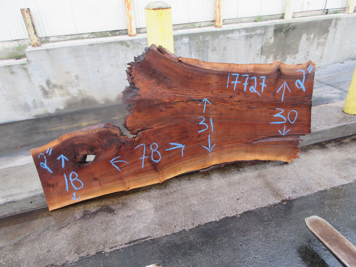 Claro Walnut Slab #17727