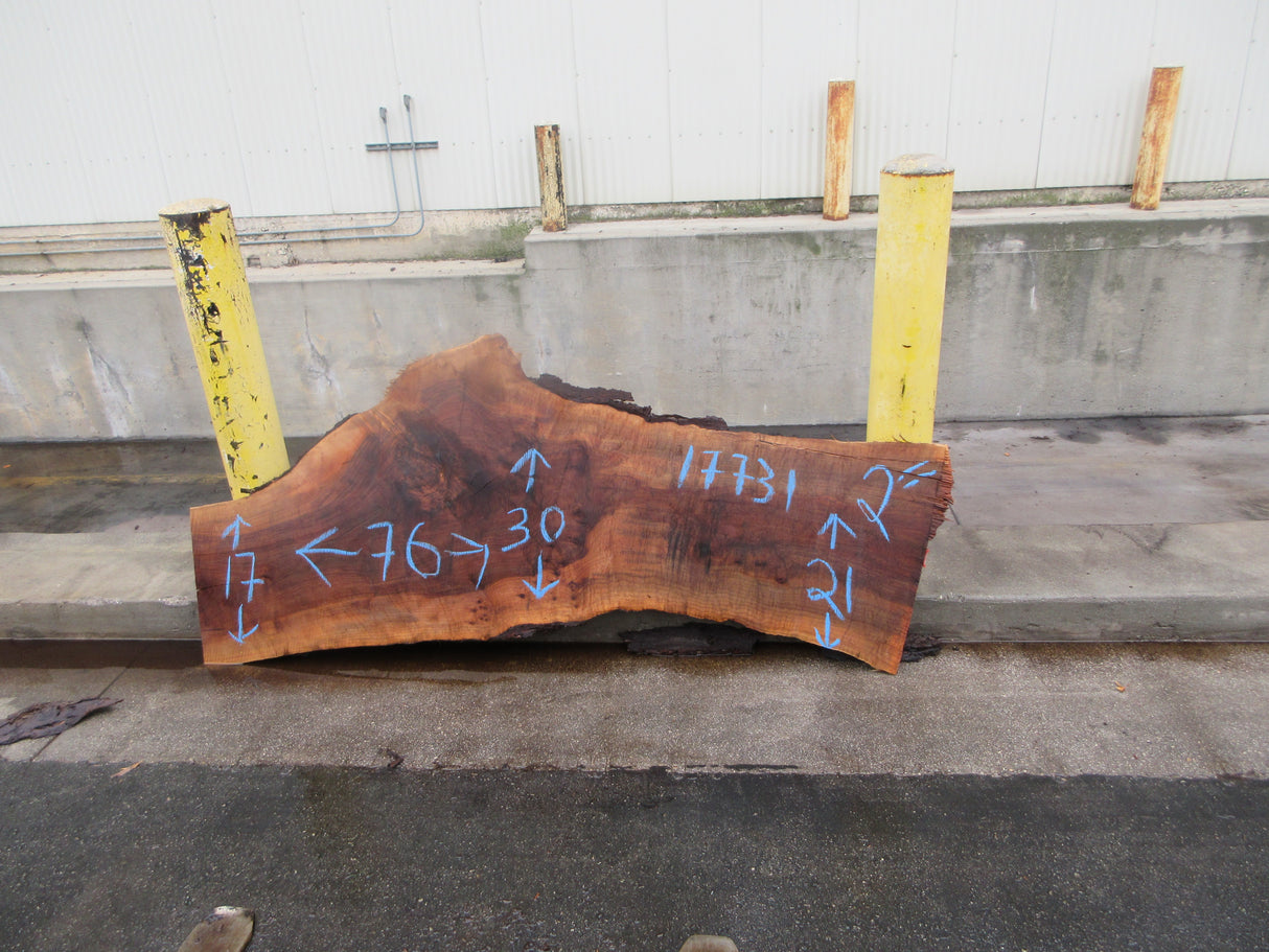 Claro Walnut Slab #17731