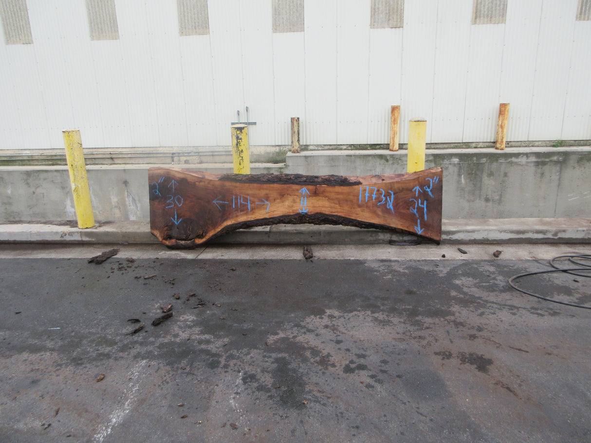 Claro Walnut Slab #17732