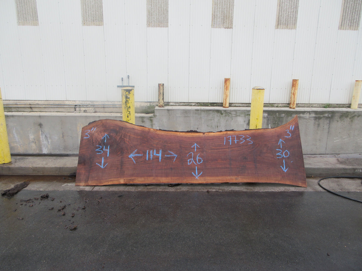 Claro Walnut Slab #17733