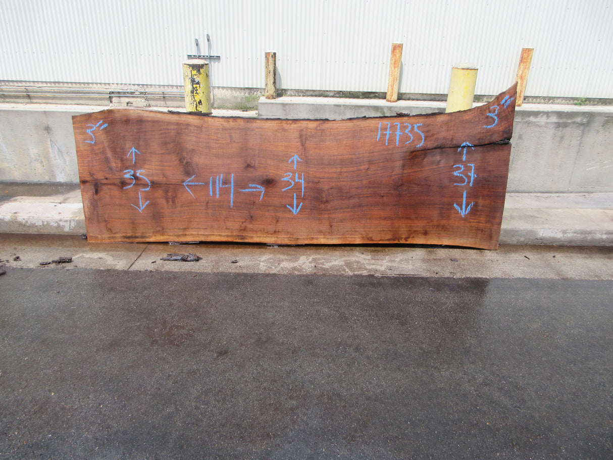Claro Walnut Slab #17735