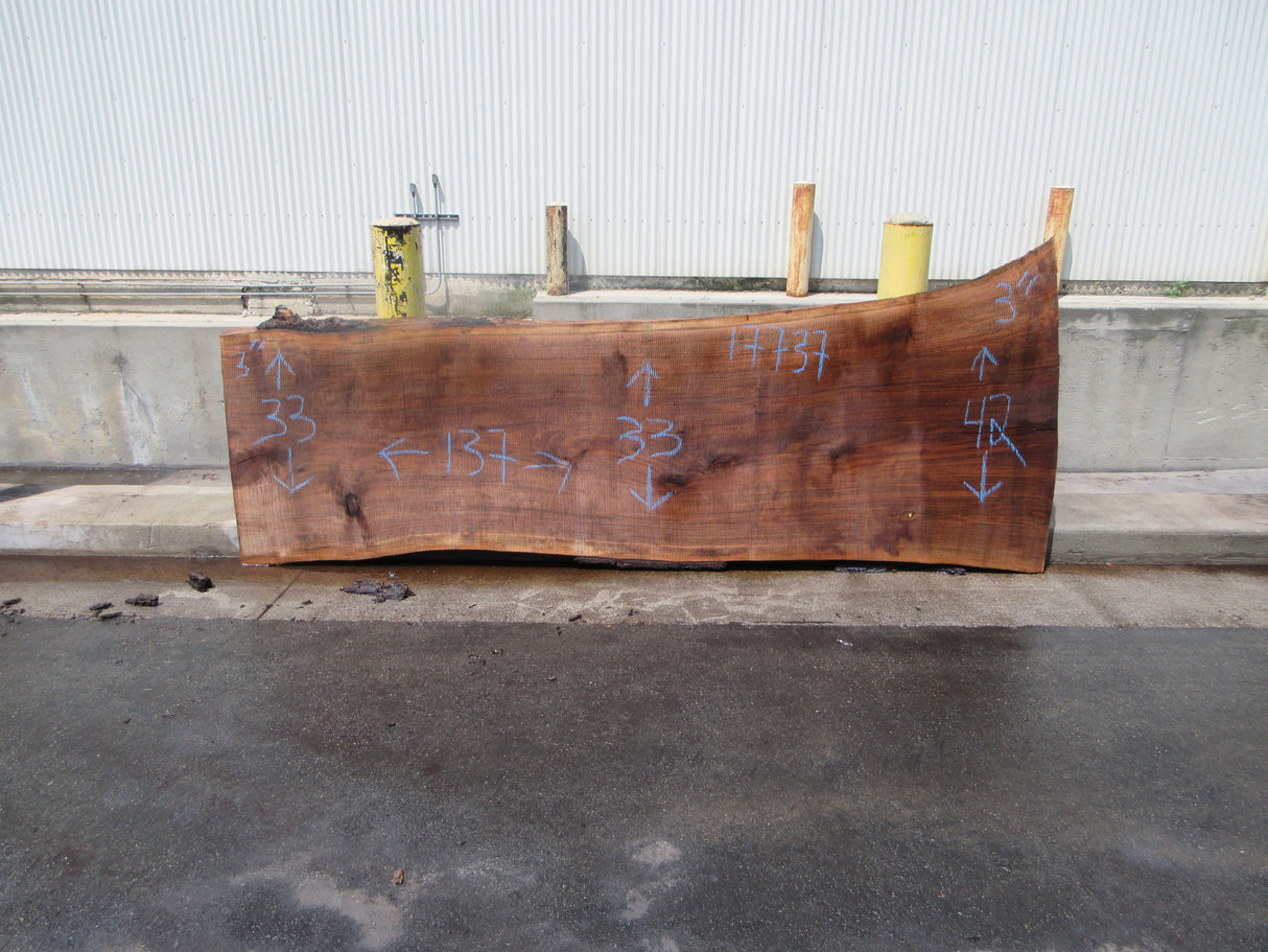 Claro Walnut Slab #17737