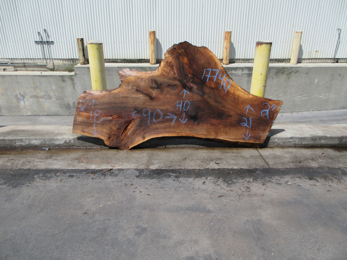 Claro Walnut Slab #17740