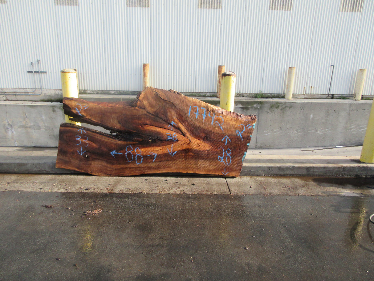 Claro Walnut Slab #17742