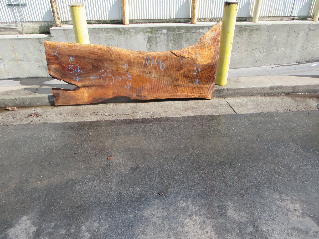 Claro Walnut Slab #17746