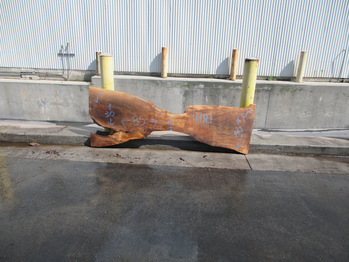 Claro Walnut Slab #17747