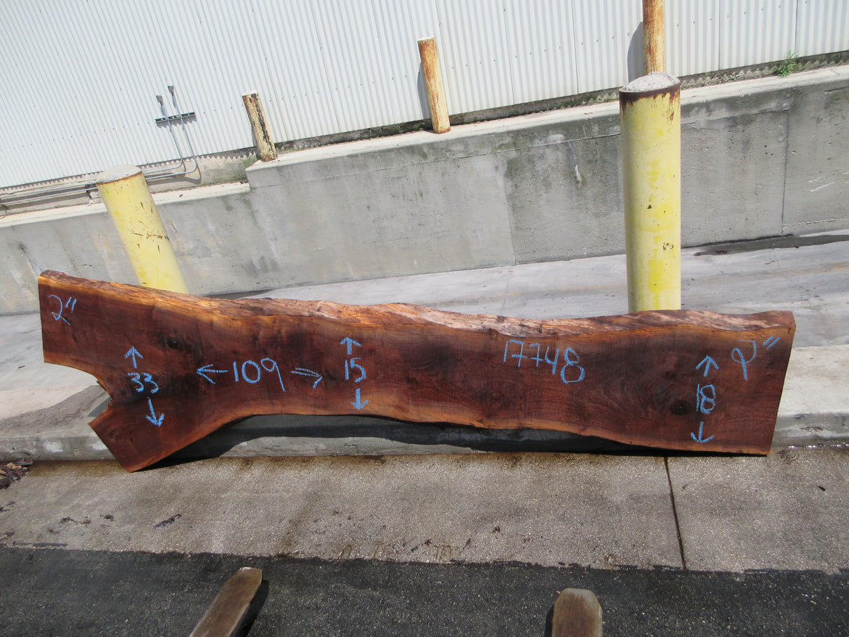 Claro Walnut Slab #17748