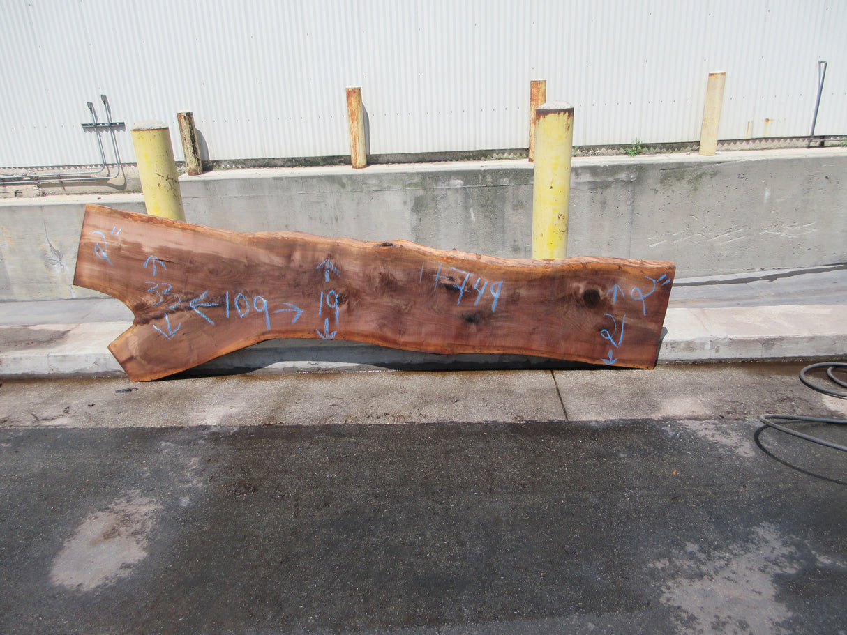 Claro Walnut Slab #17749