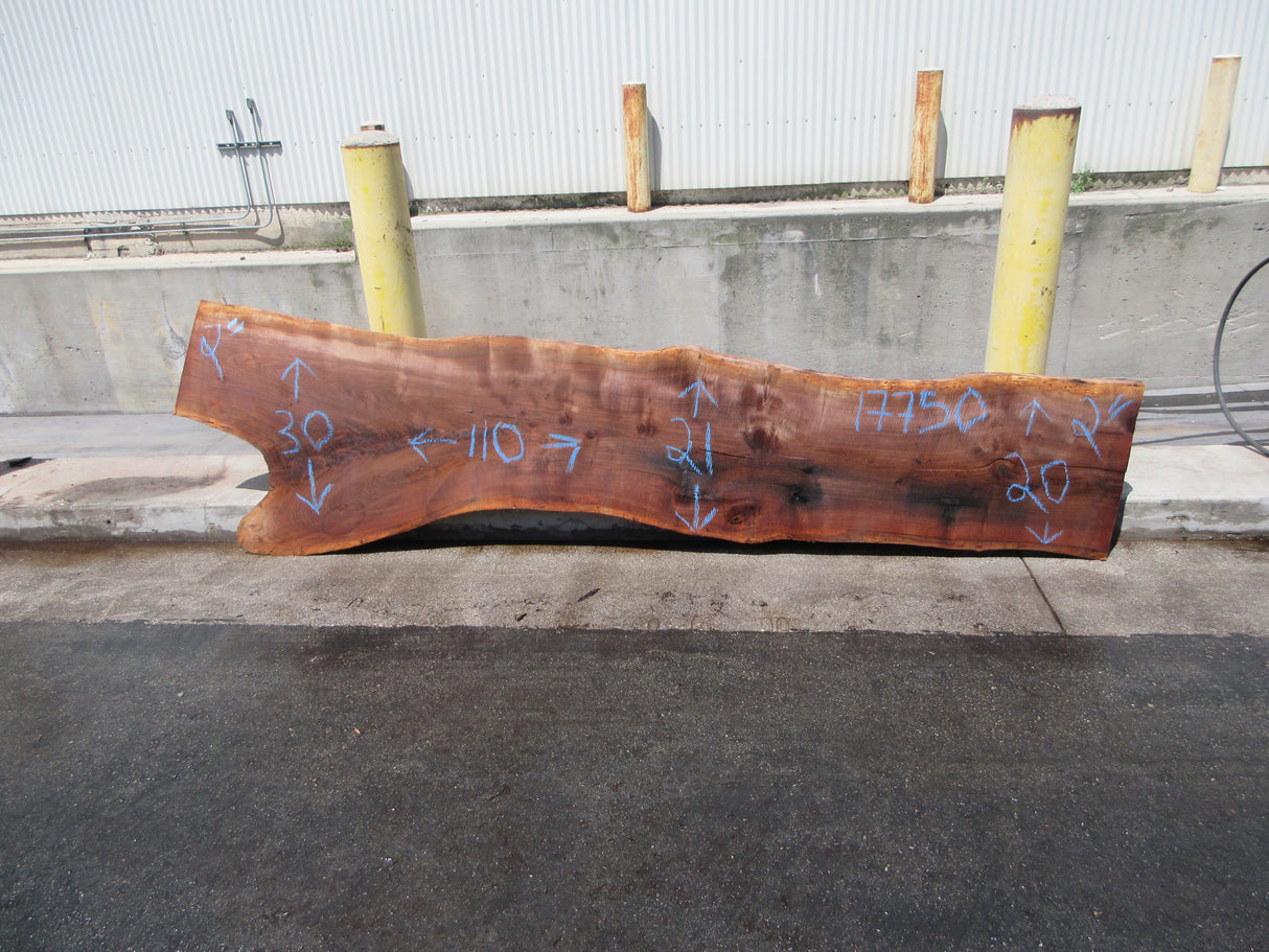 Claro Walnut Slab #17750