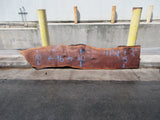Claro Walnut Slab #17752