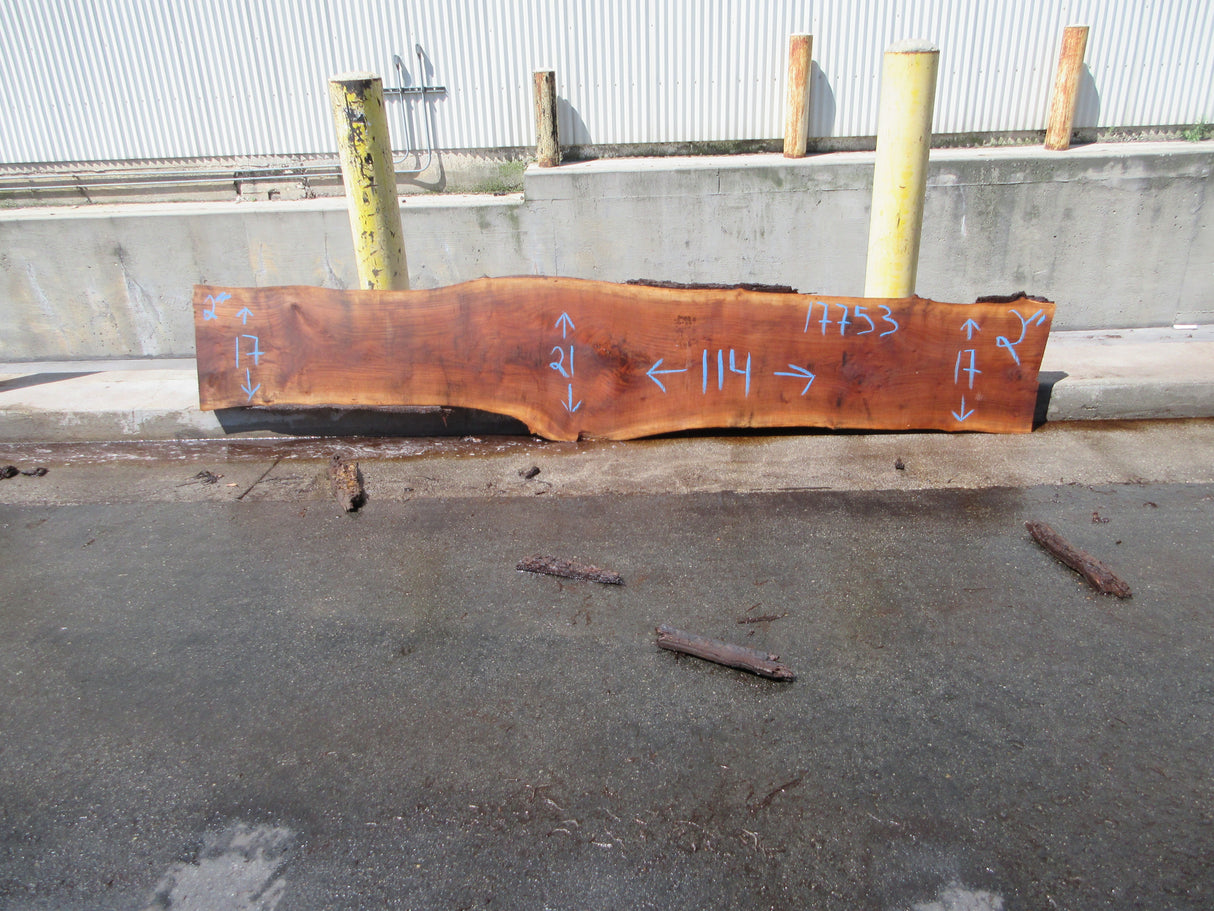 Claro Walnut Slab #17753