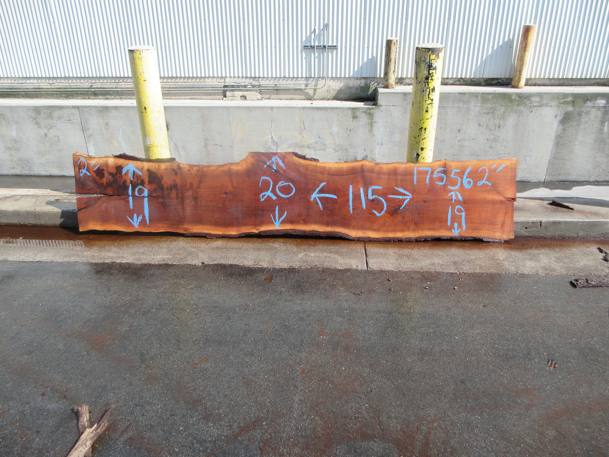 Claro Walnut Slab #17756