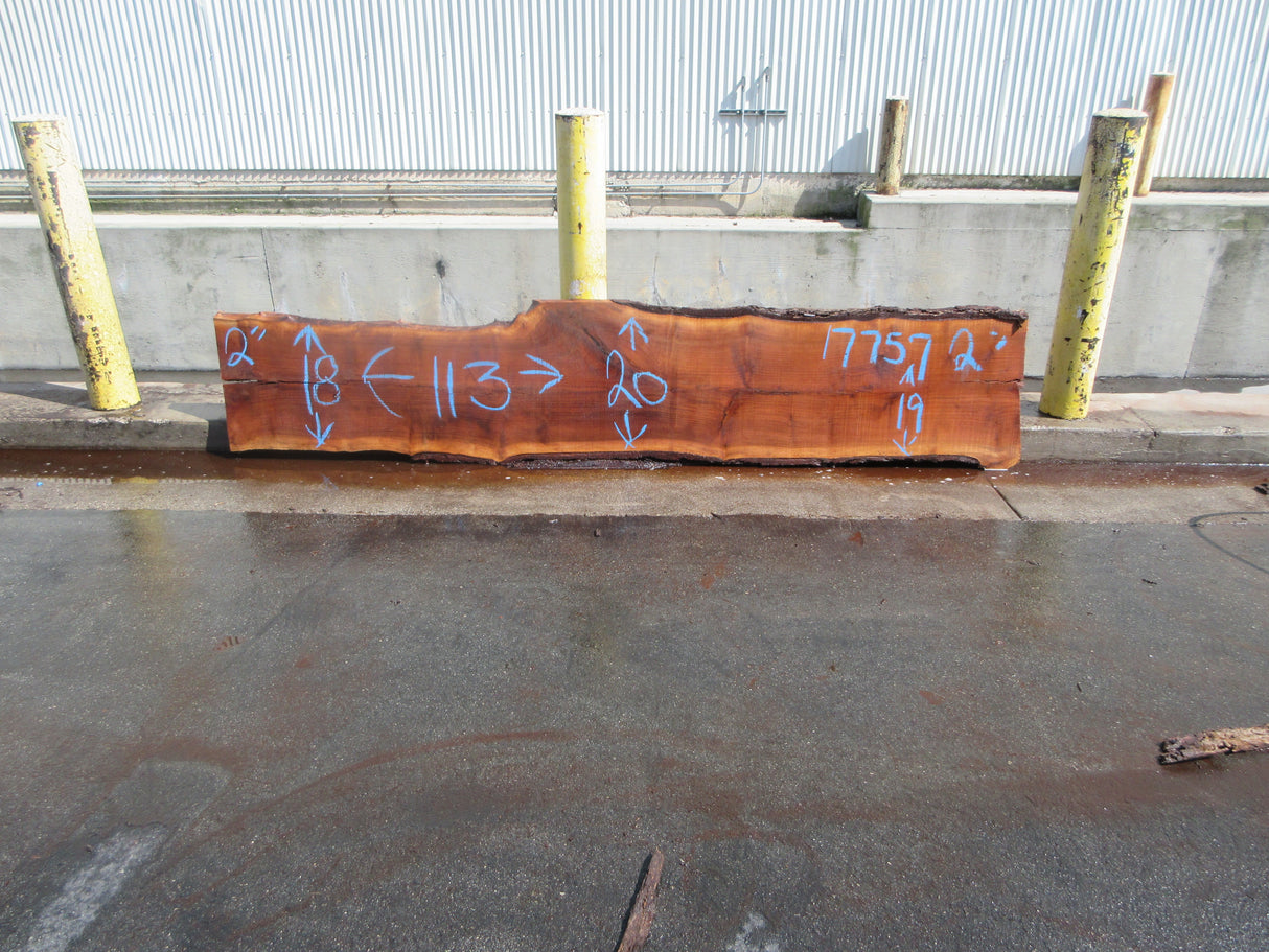 Claro Walnut Slab #17757