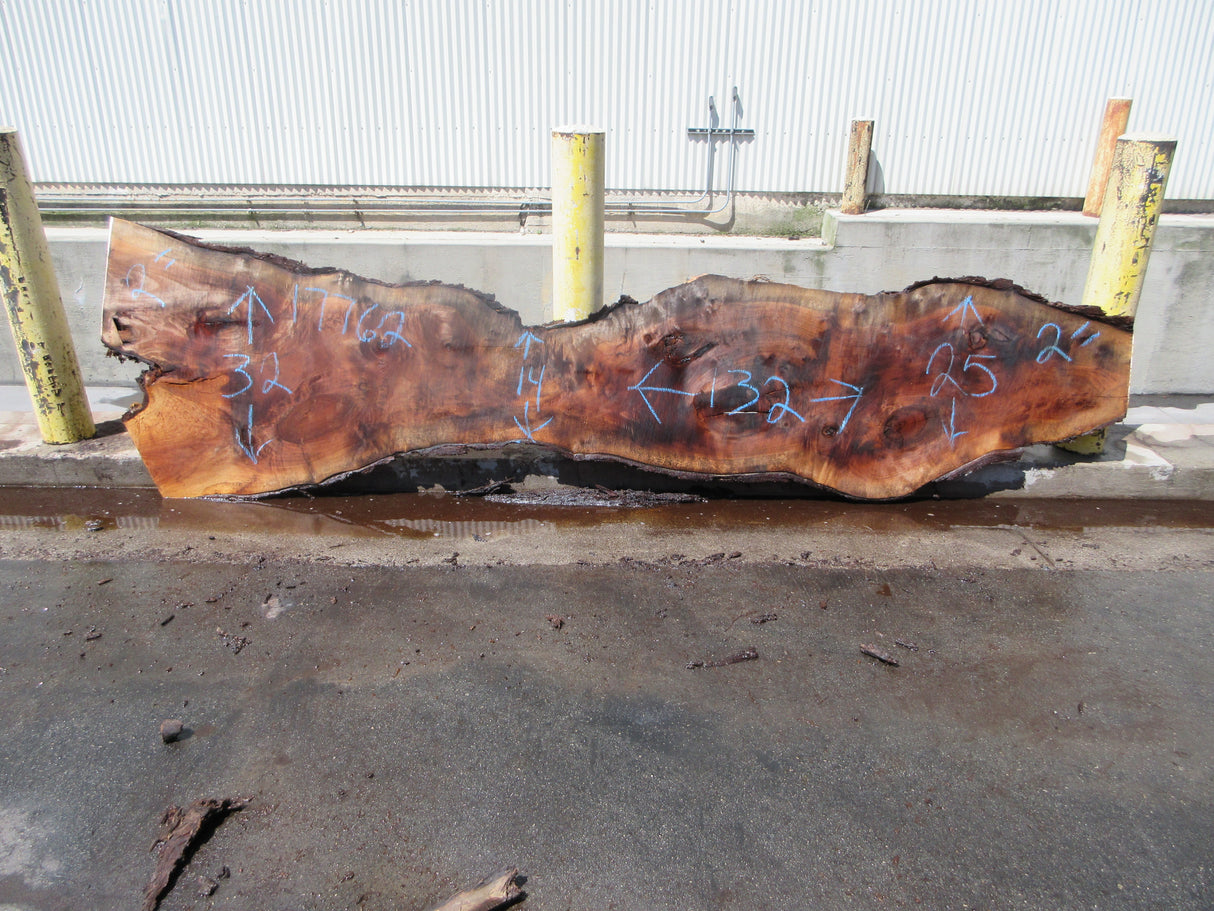 Claro Walnut Slab #17762