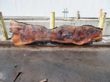 Claro Walnut Slab #17762