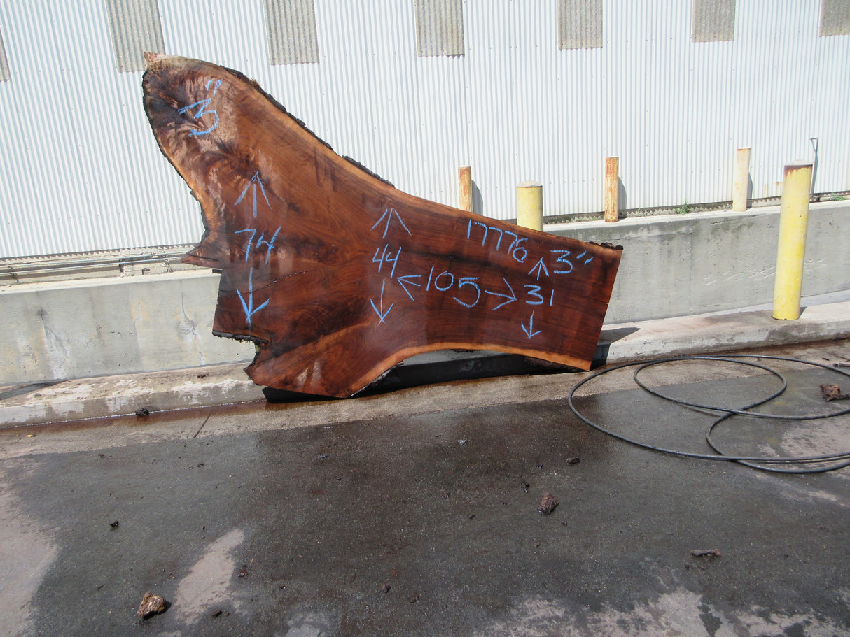 Claro Walnut 12/4 Slab #17776