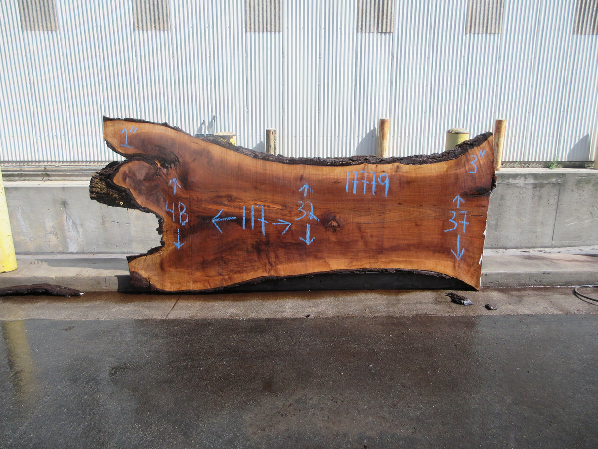 Claro Walnut Slab #17779