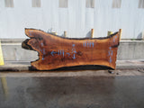 Claro Walnut Slab #17779
