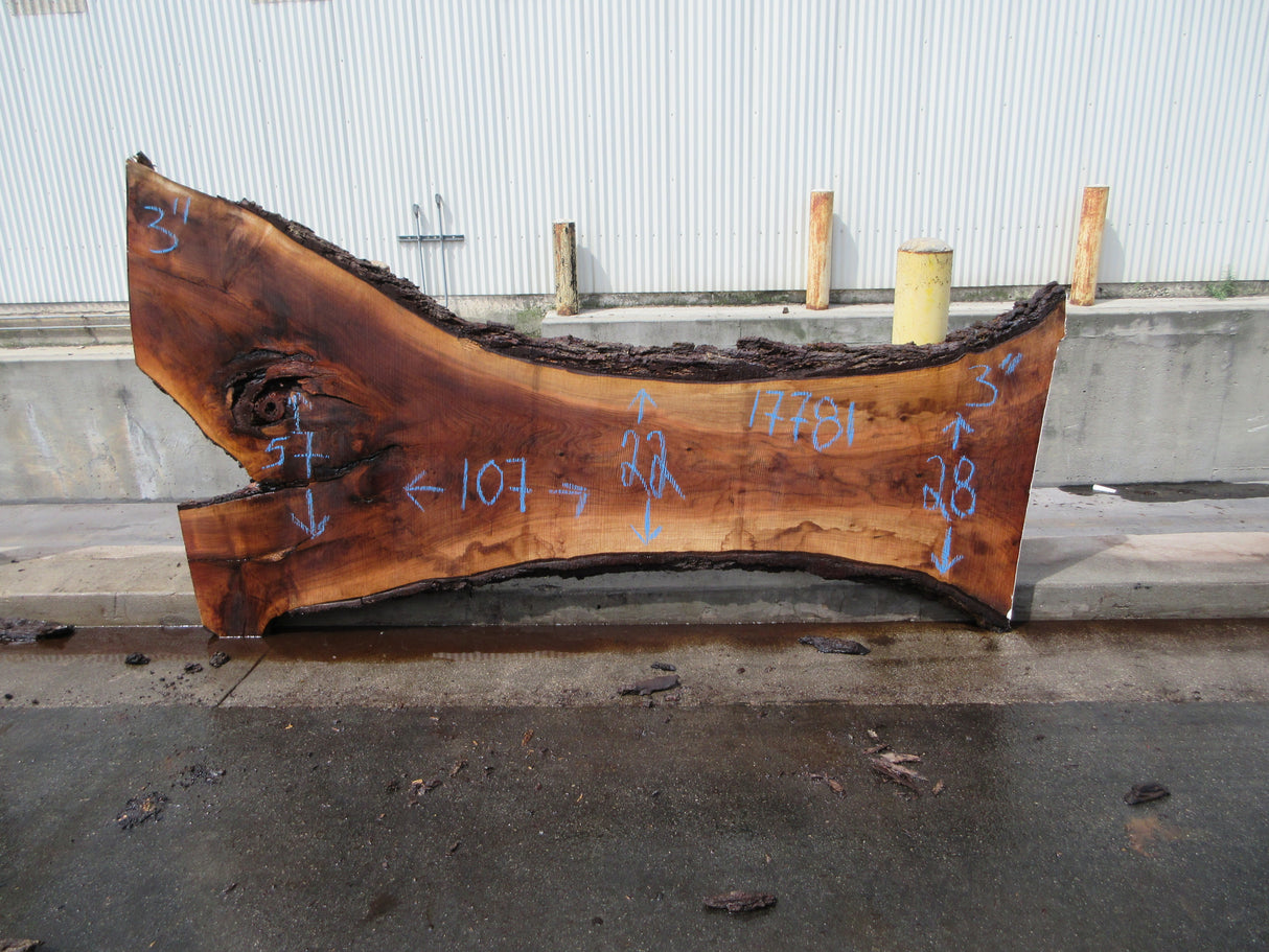 Claro Walnut Slab #17781
