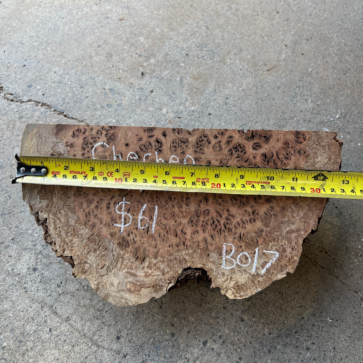 Chechen Burl 12”x6”x2.5”