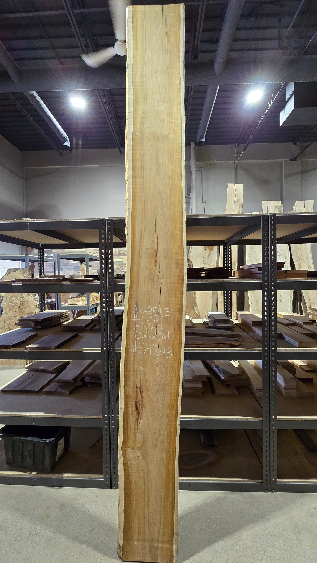 Arariba 5/4 Live Edge #009