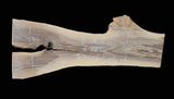 Black Walnut 8/4 Live Edge #731