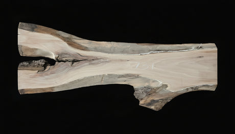 Black Walnut 8/4 Live Edge #731