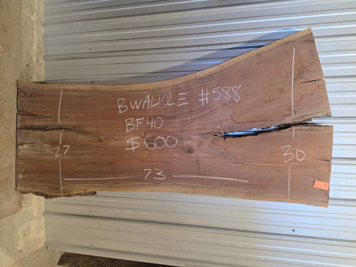 Black Walnut 10/4 Live Edge #588