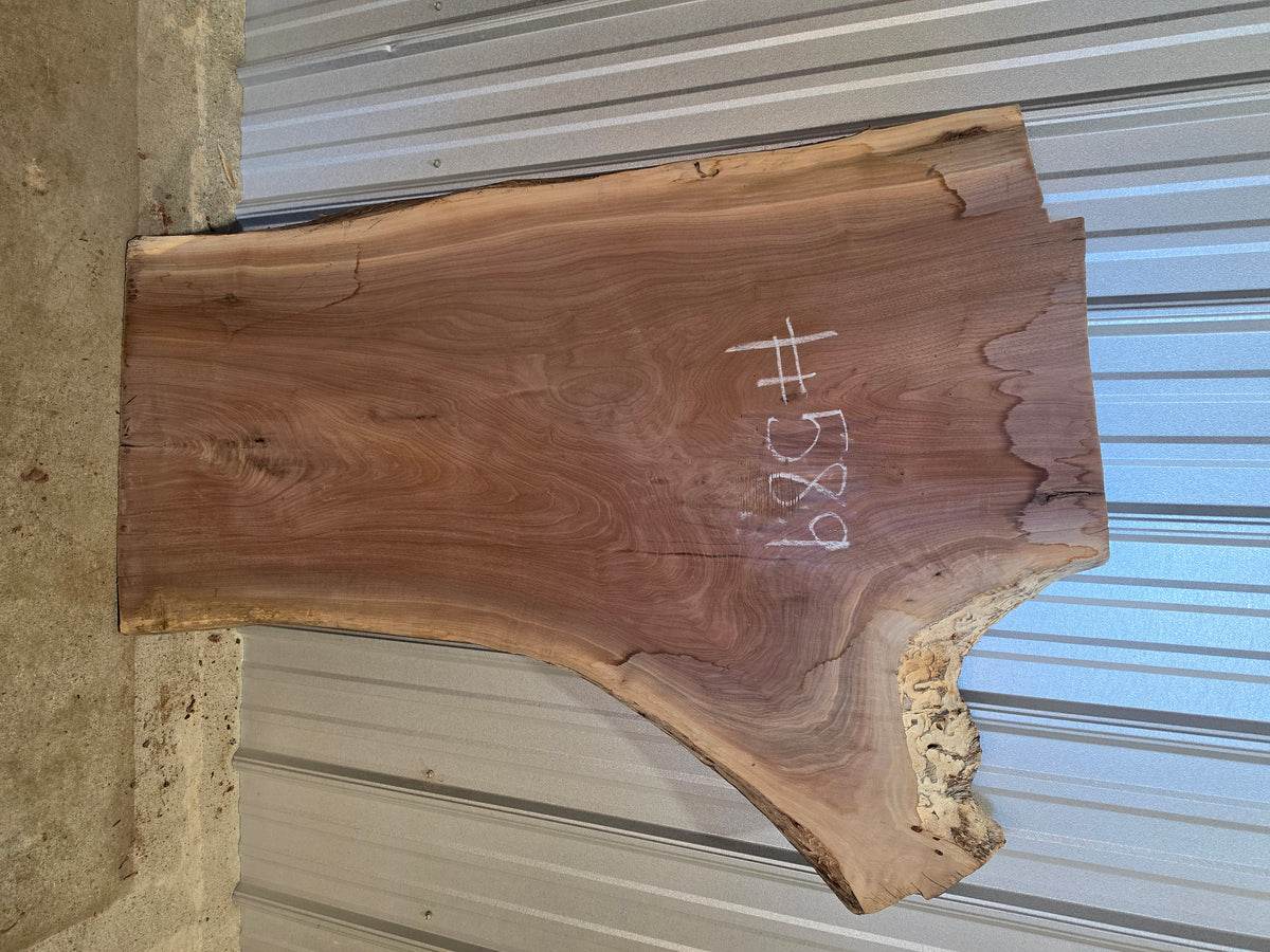 Black Walnut 10/4 Live Edge #589